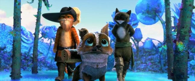 Image d'une scène de Puss in Boots: The Last Wish
