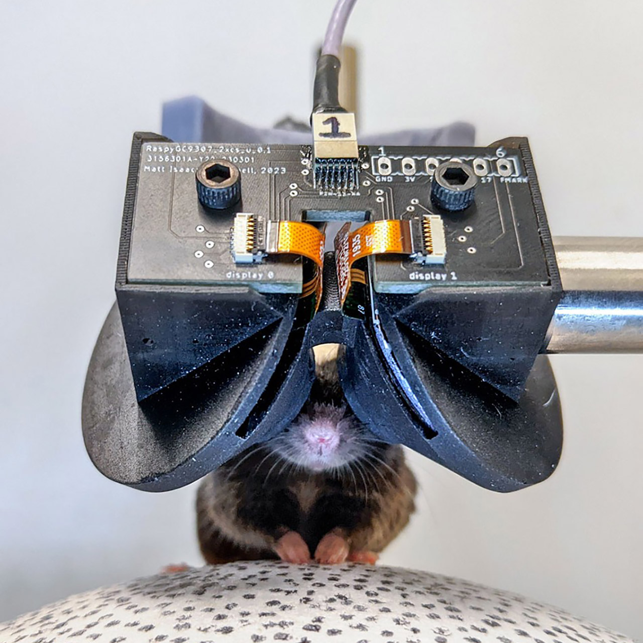 MouseGoggles : un casque de réalité virtuelle pour souris