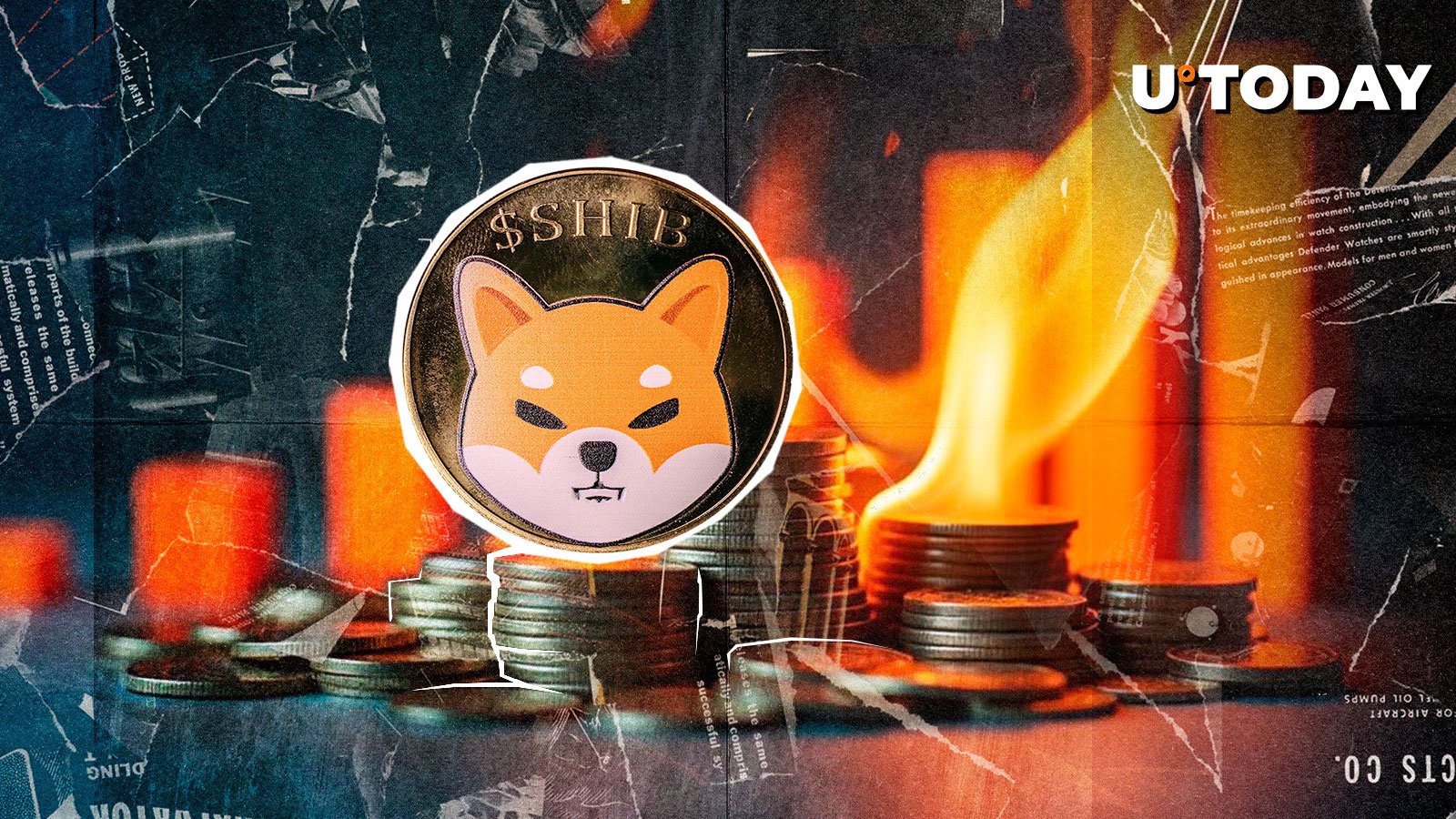 Augmentation de la combustion de SHIB de 360% suite à un développement crucial