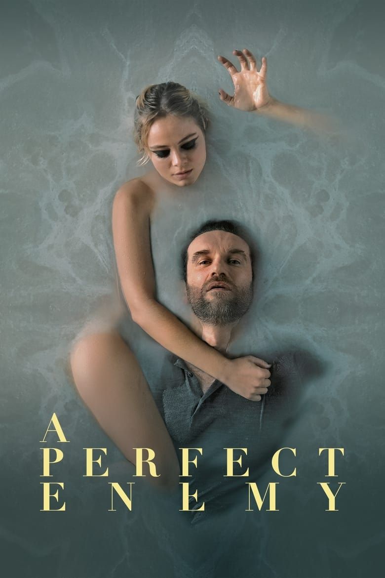 Affiche de Perfect Enemy