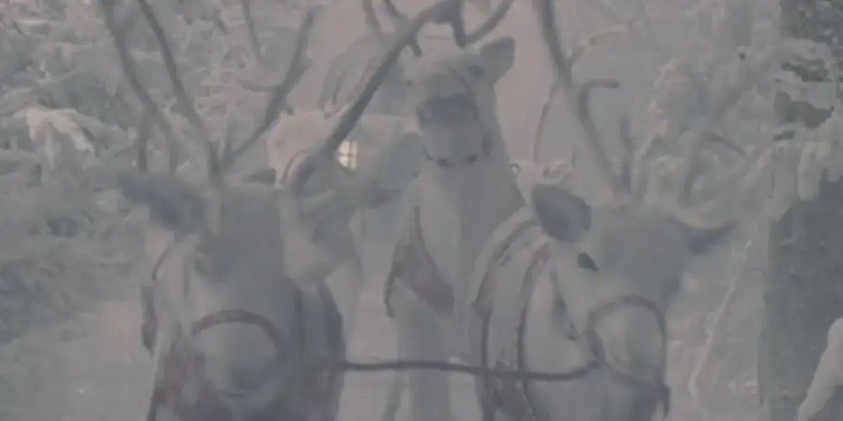 Le Renne Blanc dans Les Chroniques de Narnia : Le Lion, la Sorcière et l'Armoire