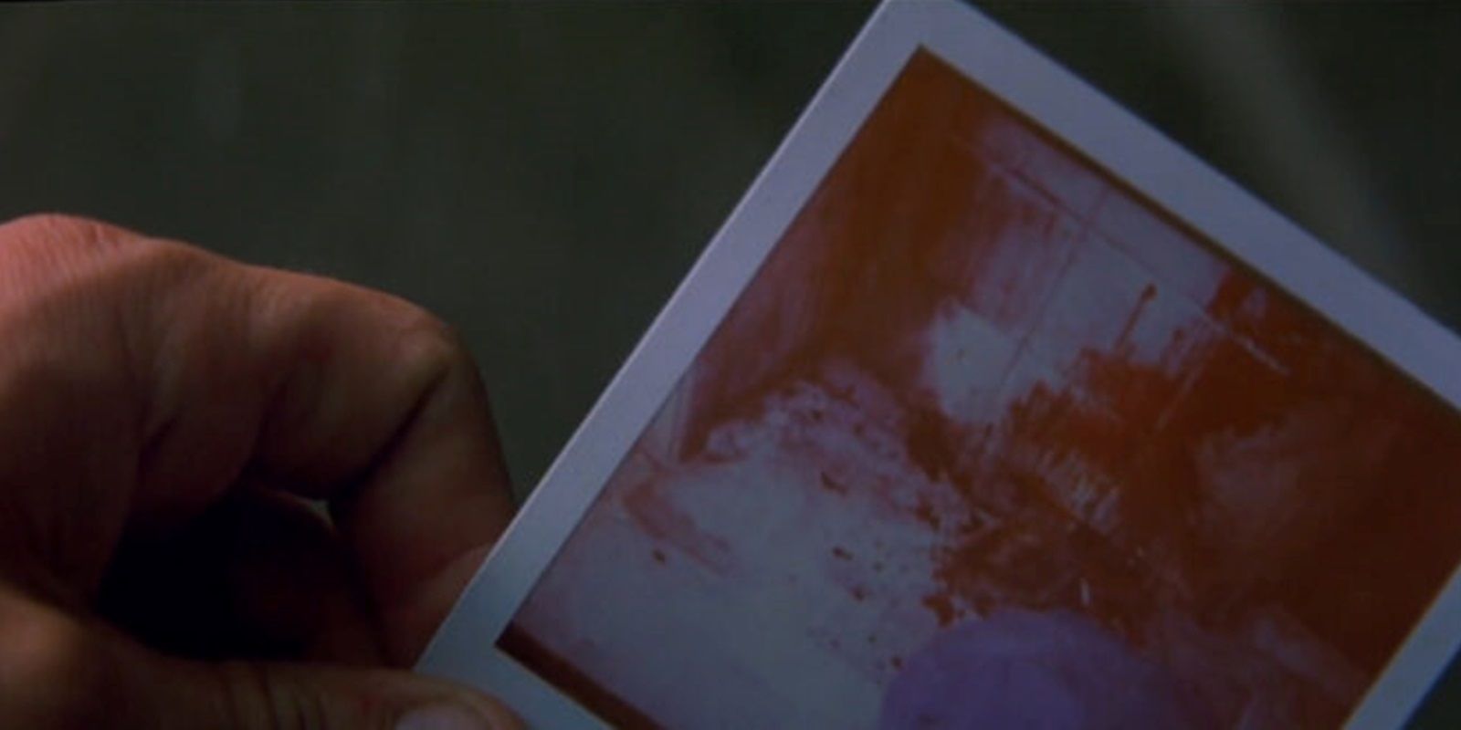 Un gros plan sur une Polaroid dans Memento