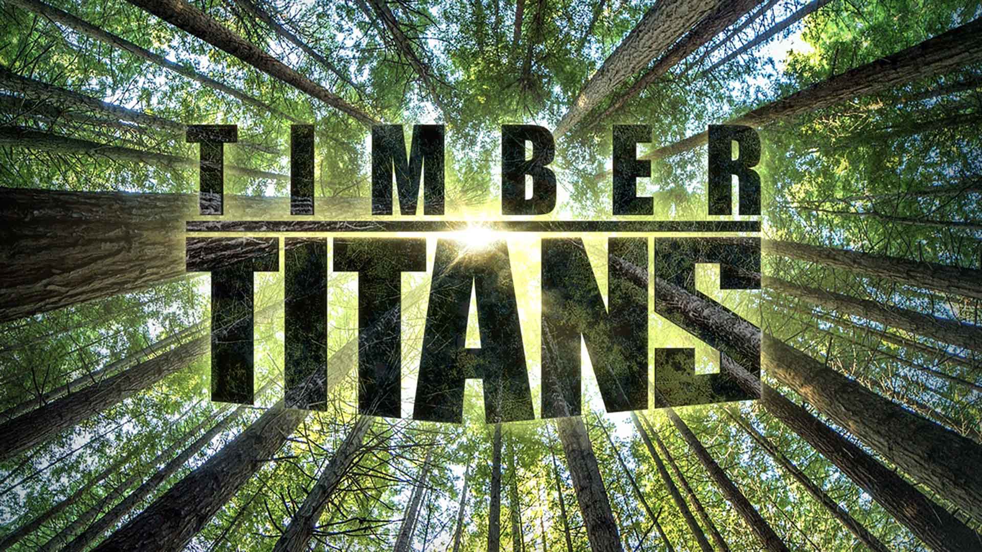 Timber Titans