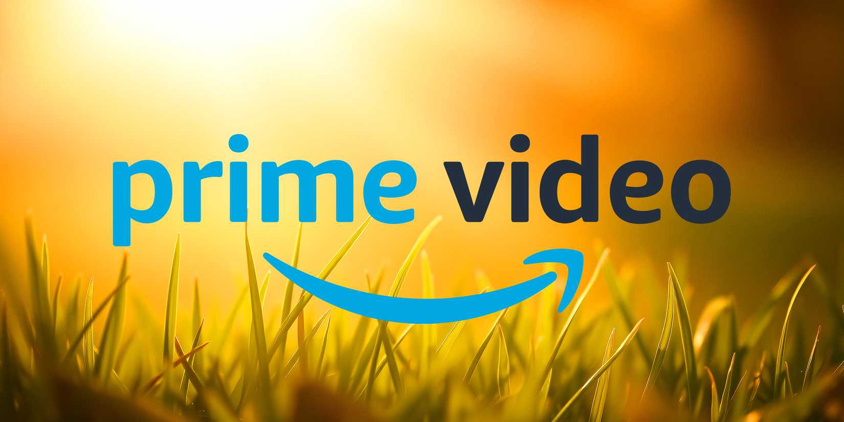 Logo de Prime Video dans l'herbe estivale