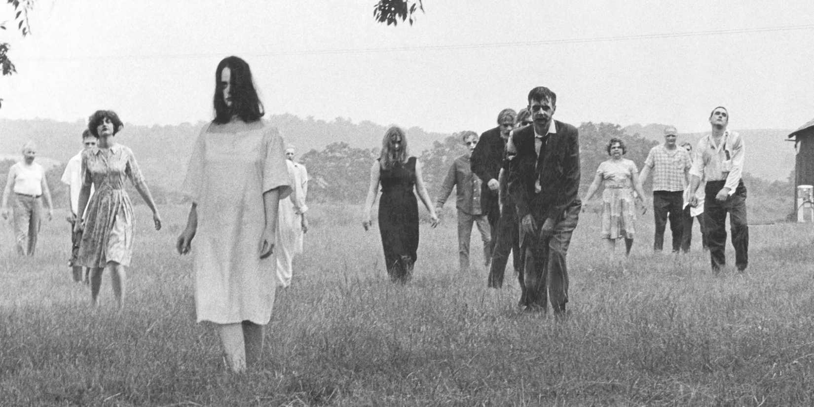 Des zombies approchent dans un champ dans La Nuit des morts-vivants.