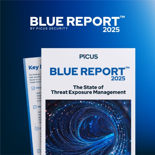 Rapport Picus Blue 2025