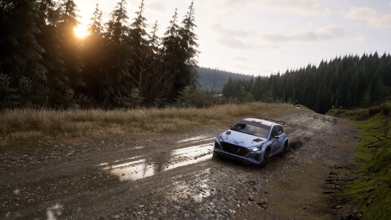 Un paysage d'un circuit d'Assetto Corsa Rally