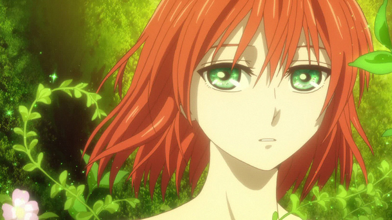 The Ancient Magus‘ Bride