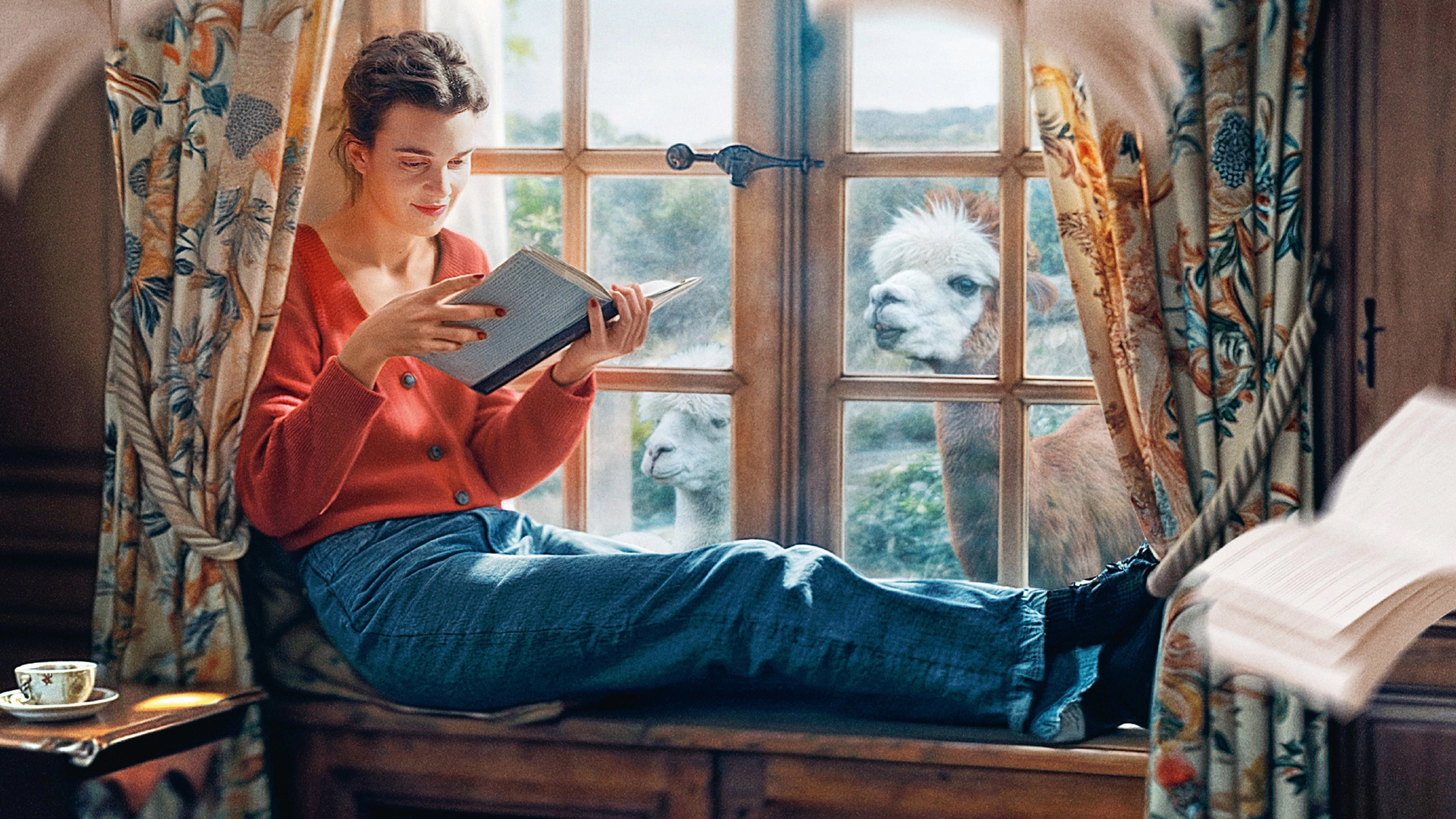Jane Austen Wrecked My Life Streaming Debut Netflix
