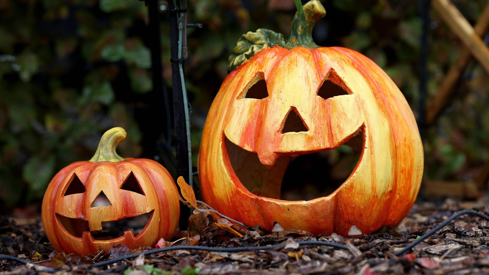 Kurbis Halloween