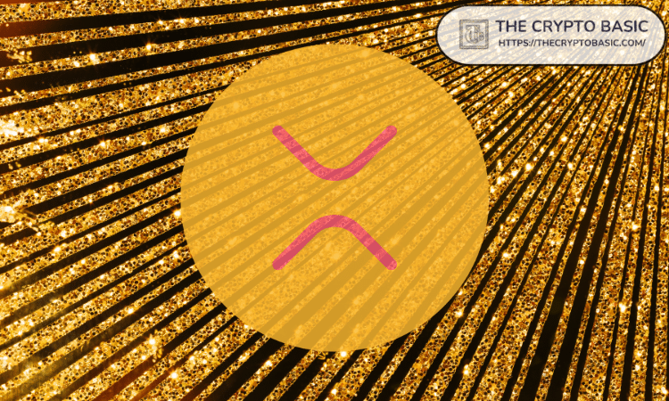 Le fondateur de la crypto : Découvrez le véritable défi de détenir de l'XRP !