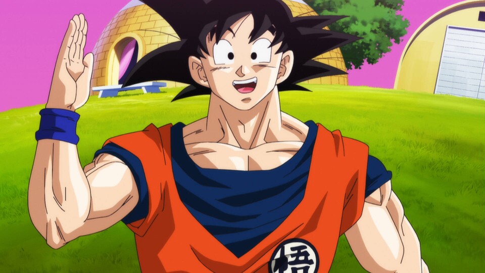 Version de Son Goku selon les imaginations.