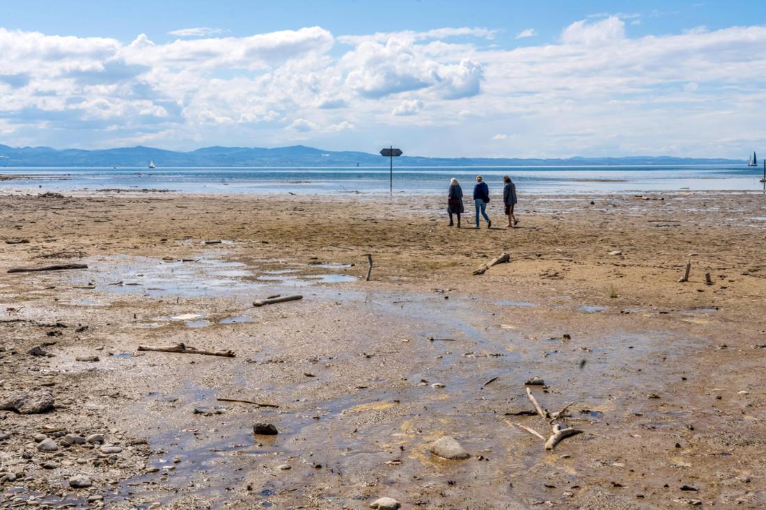 Impact du climat sur les lacs en Bavière