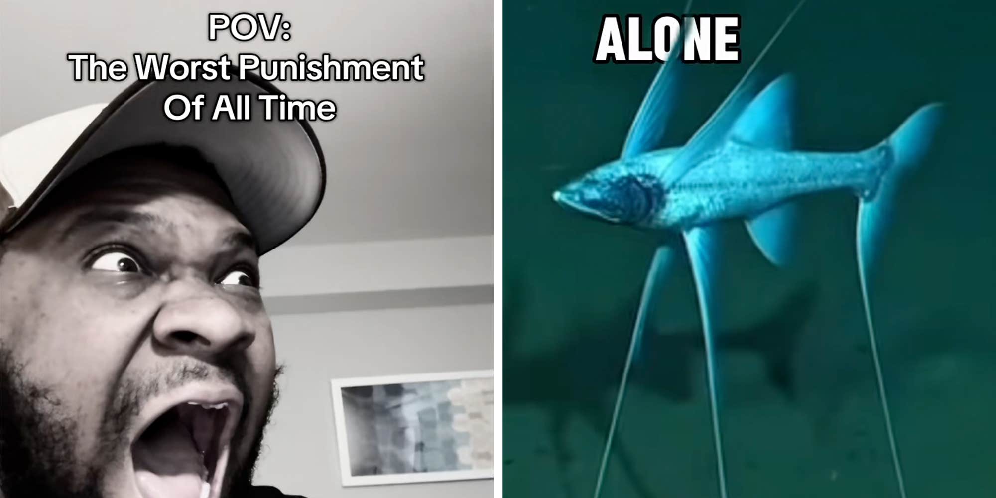 Le poisson trépied : la nouvelle obsession tragique de TikTok qui fait passer son existence pour une véritable punition !