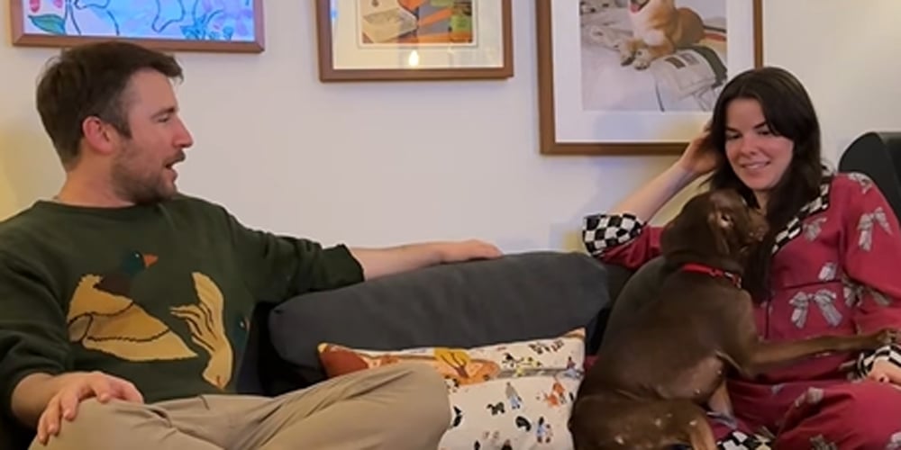 L'incroyable histoire du chien d'accueil d'Isabel Klee qui déteste hilarante tellement la musique de Creed – À découvrir !