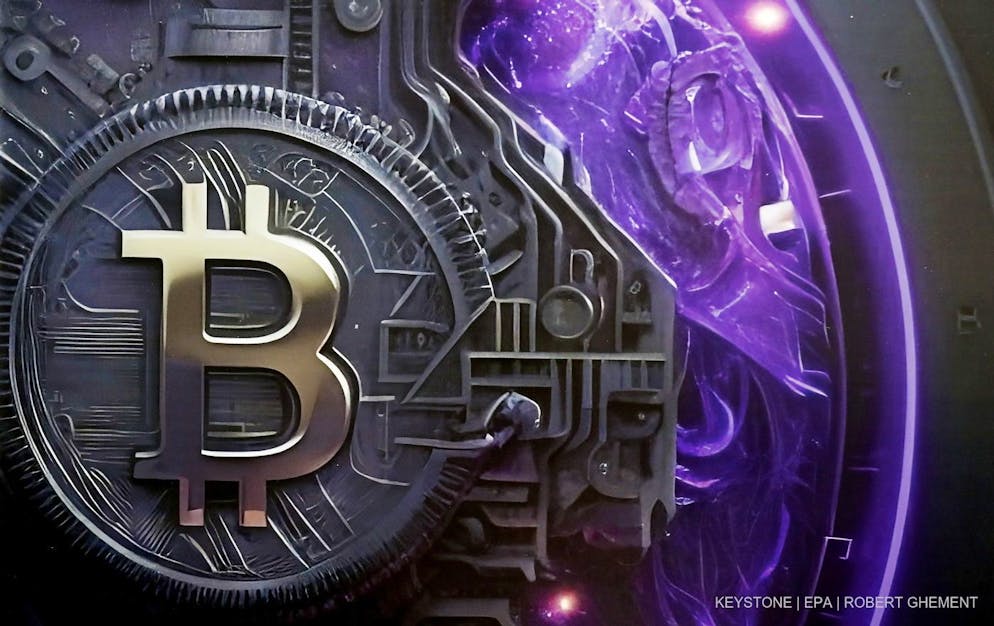 Des perquisitions ont été menées à Chypre, en Espagne et en Allemagne, avec la saisie de plus de 1,5 million d'euros en espèces et cryptomonnaies.