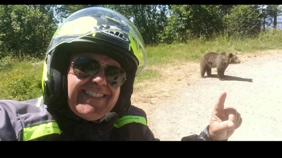 Un touriste imprudent nourrit des oursons et se retrouve face à leur mère : une leçon de la nature qui fait grand bruit !