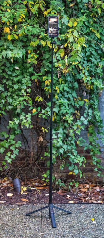 Un smartphone monté sur un grand trépied noir se tient sur une surface de gravier devant un mur couvert de vigne verte.