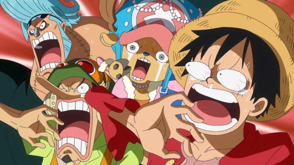 Les membres de l'équipage sont étonnés par la nouvelle révélation dans l'animé. (© Eiichiro Oda, Shueisha Toei Animation)