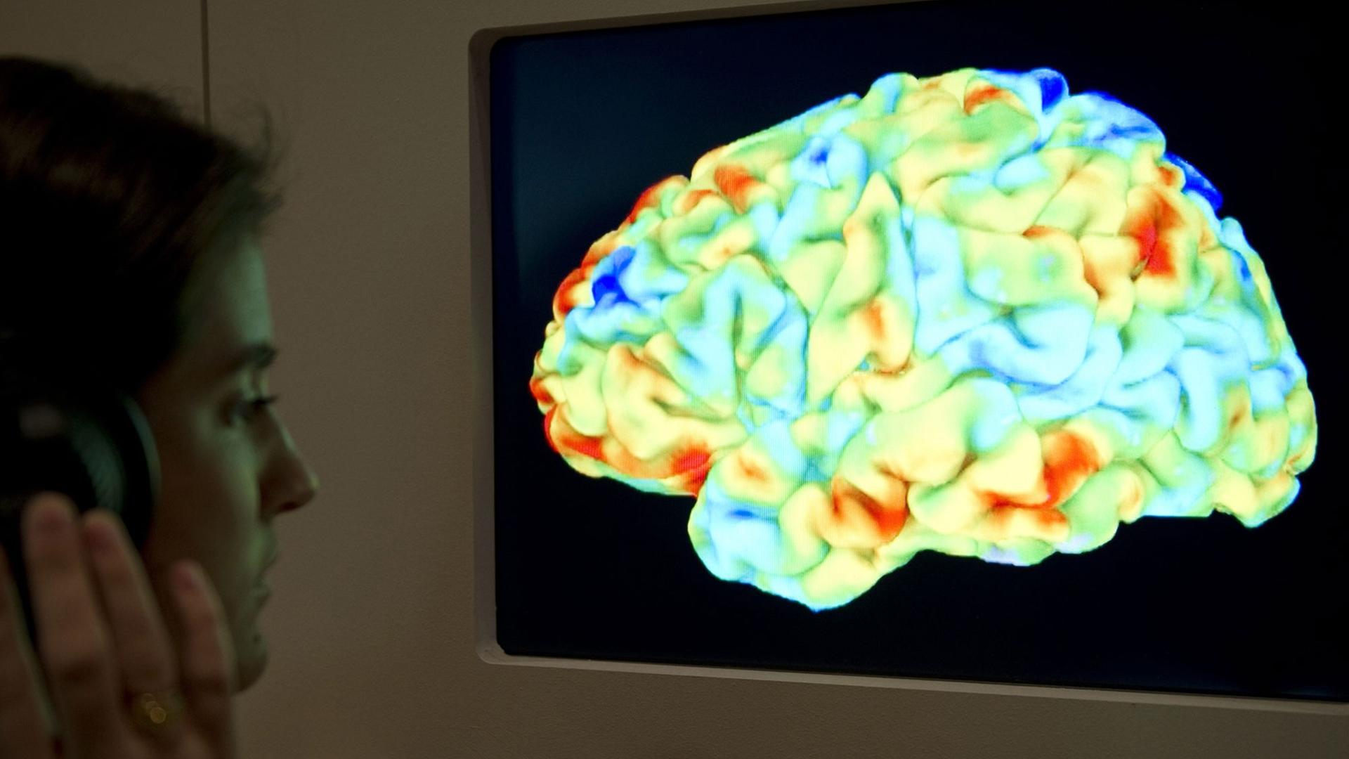 Une Femme observe une IRM d'un cerveau humain Une Femme observe une IRM d'un cerveau humain