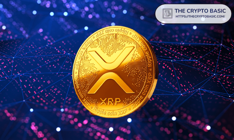 Un expert affirme que posséder plus de 10 000 XRP signifie que tout va bien pour vous !