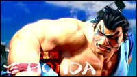 Image du Fighter Sports Fighting Pass #5