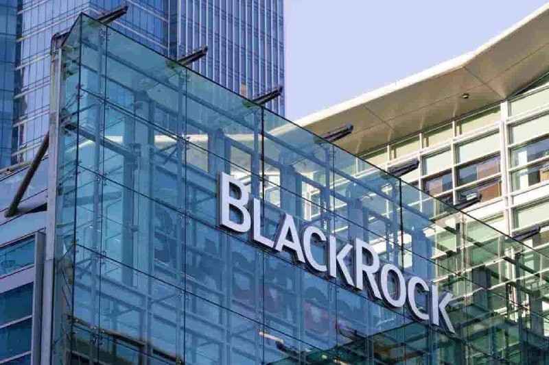 BlackRock a investi plus d'un milliard de dollars dans ces cryptomonnaies en une semaine !