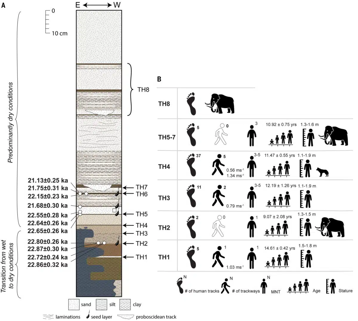Contexte géologique et démographie des créateurs de traces au Parc National de White Sands.