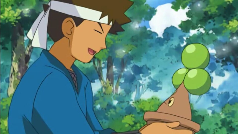 Les noms de Pokémon doivent être bien réfléchis, cela s'applique également aux surnoms que nous leur donnons.