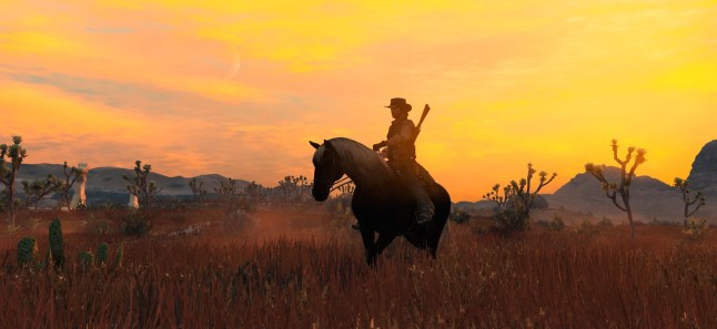 Capture d'écran de Red Dead Redemption