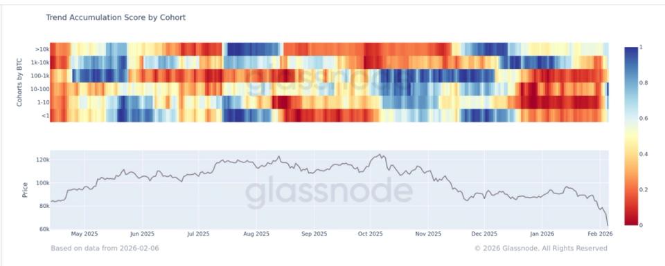 Accumulation de BTC : une tendance observée chez tous les profils selon Glassnode !