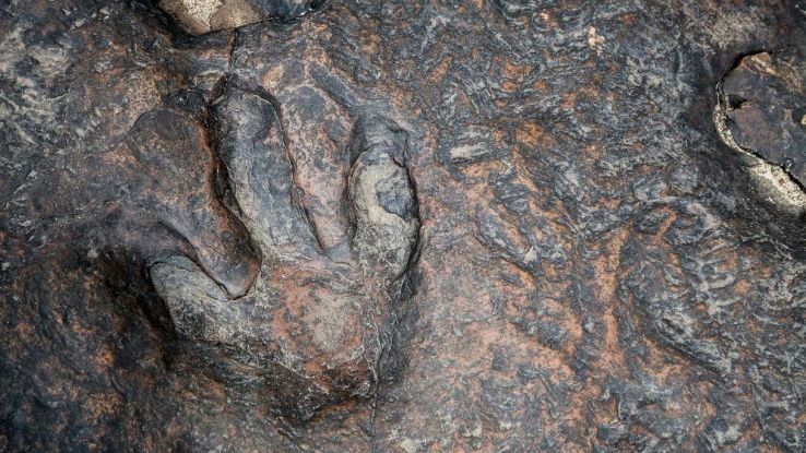 Imprentes de dinosaures