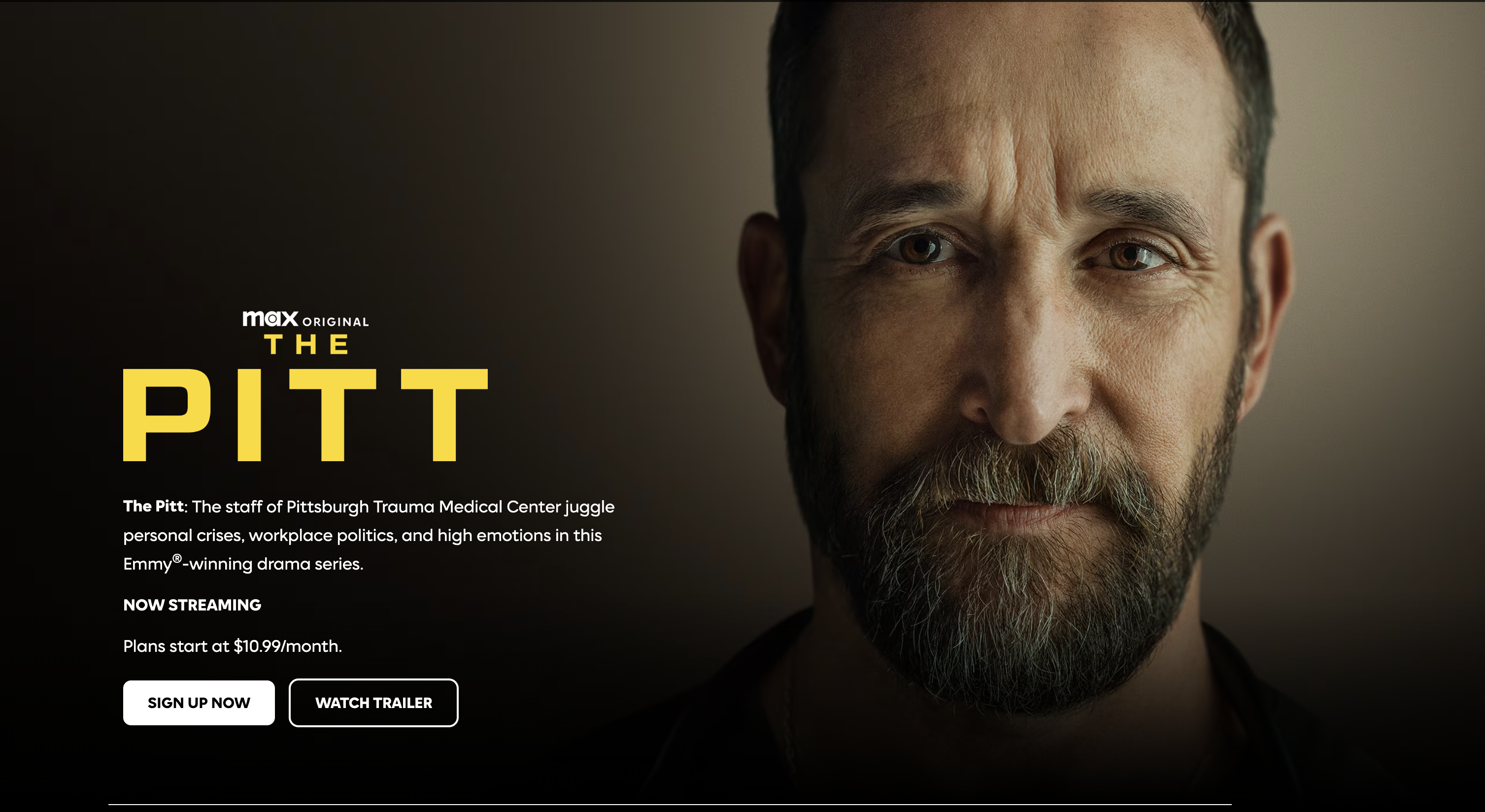 The Pitt