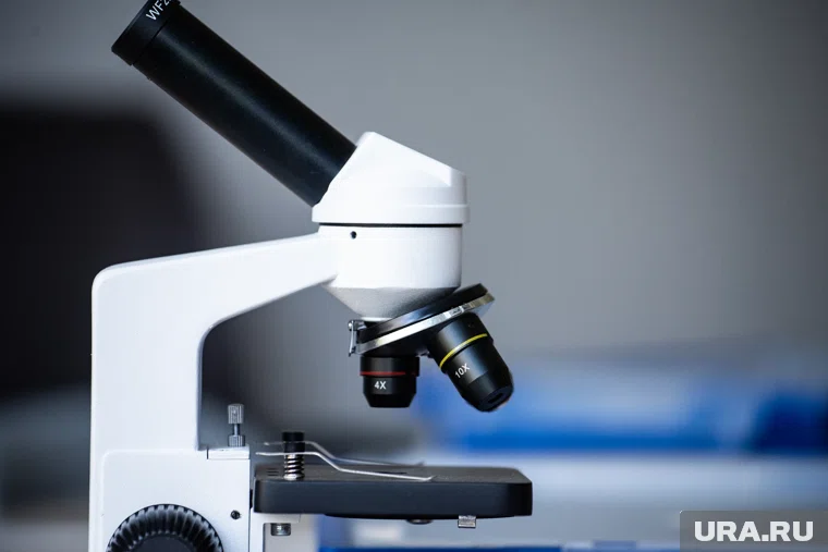 Célébration de la Journée de la science en Russie