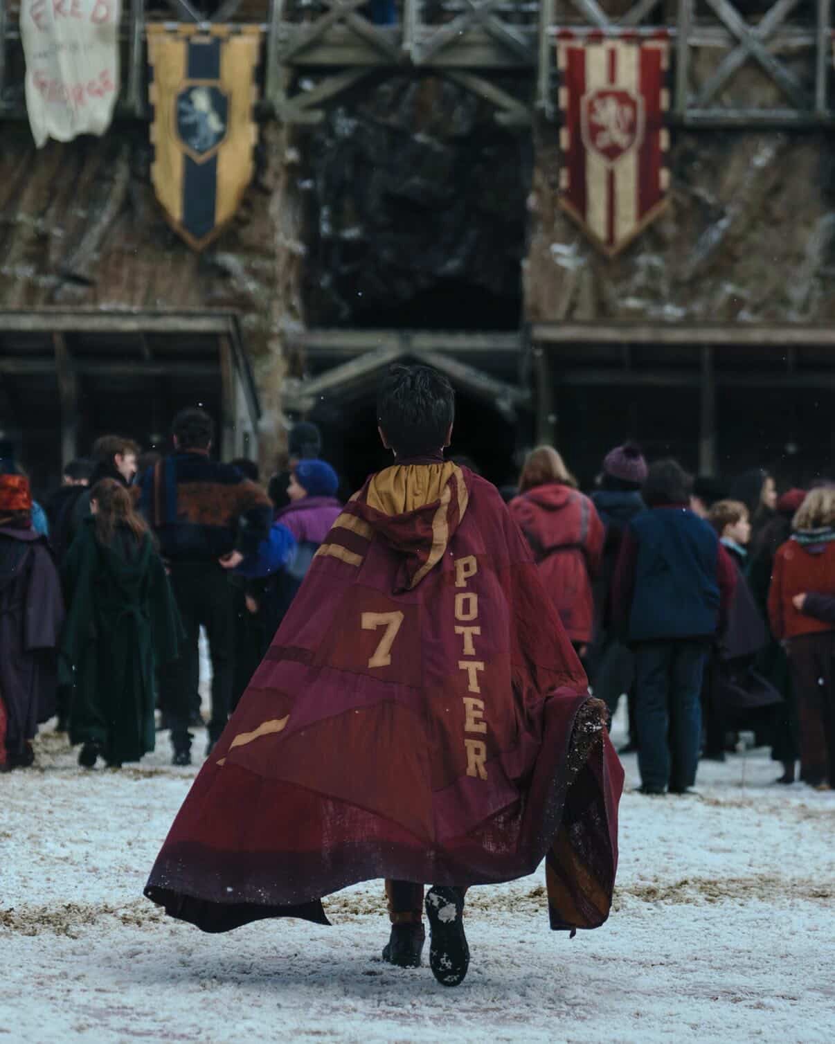 Visuel de la série Harry Potter