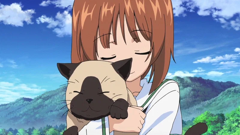 Girls und Panzer