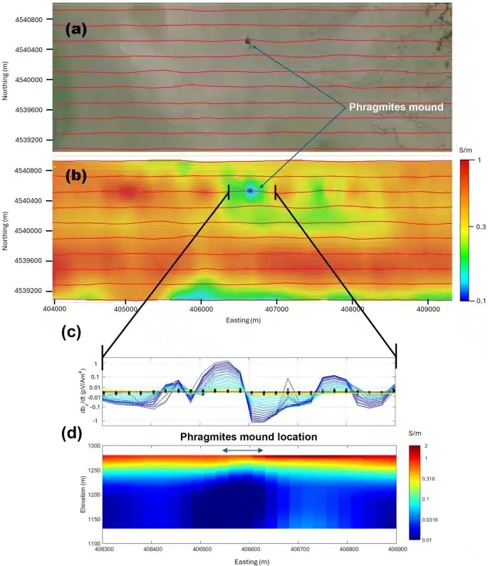 Des données multi-panneaux identifient une anomalie de basse conductivité sous le monticule.
