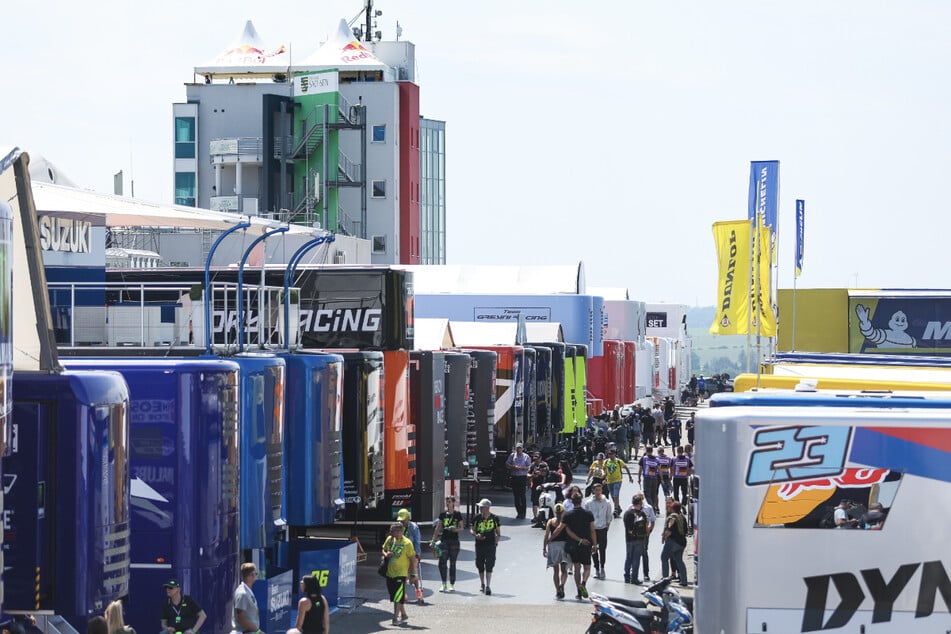 Visites guidées du paddock