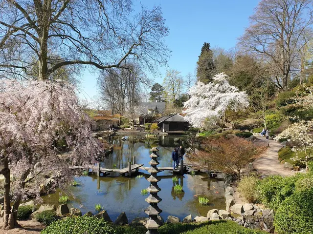 Le Jardin Japonais devient une scène pour les fans d'Anime et de Manga | Photo: Ruth Olschewski/Jardin Japonais/gratuit