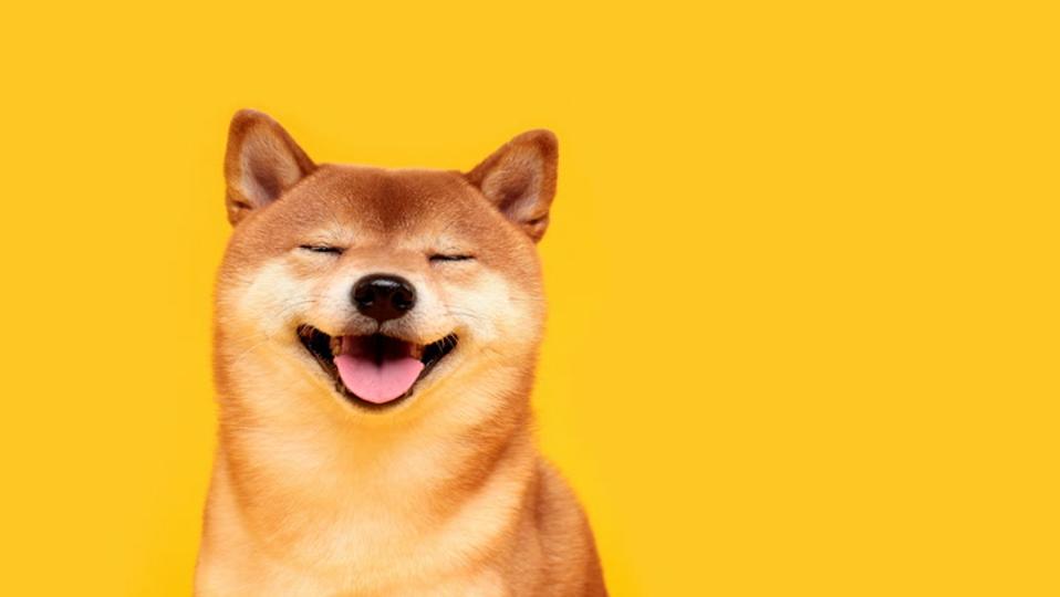 Dogecoin s'envole de 10 % en se détachant de Bitcoin alors que l'intérêt ouvert atteint un pic annuel !