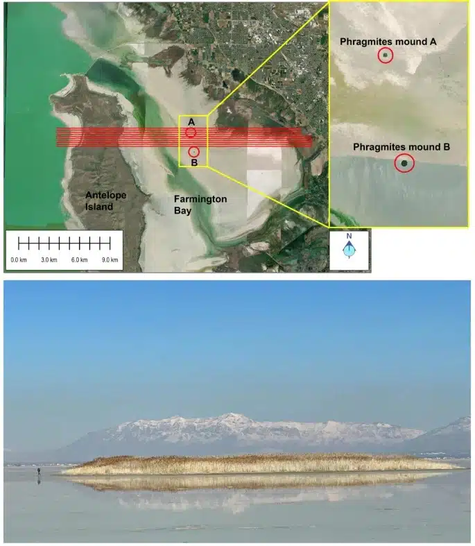 Lignes de sondage et monticules recouverts de roseaux révélant l'emplacement d'un réservoir d'eau douce caché sous le Grand Lac Salé.