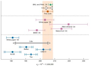 Mesures de l'anomalie du moment magnétique du muon