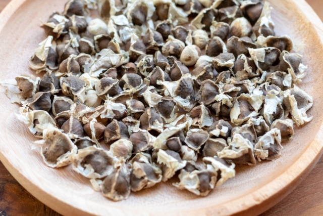 Extrait de graines de moringa