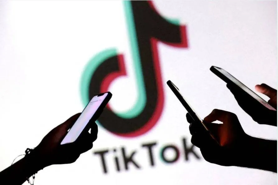 Une Cour égyptienne refuse de bloquer TikTok !