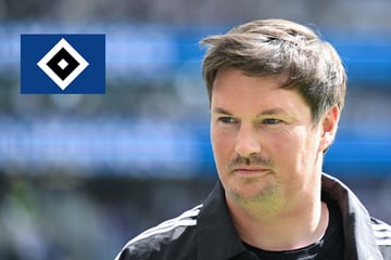 HSV-Blog : L'entraîneur Merlin Polzin engage les professionnels pour le début de la préparation