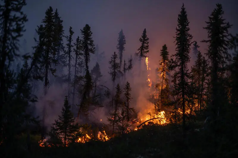 Les incendies nous arrachent la Coupe du Monde — tu ne t'y attendais pas