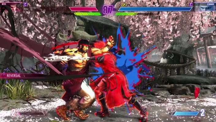 Shirayui en plein combat
