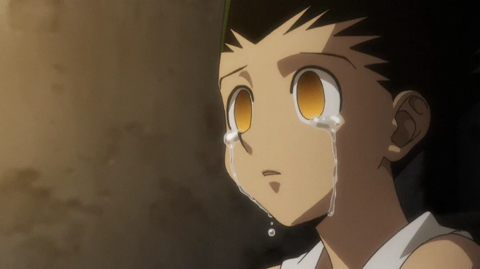 Hunter x Hunter