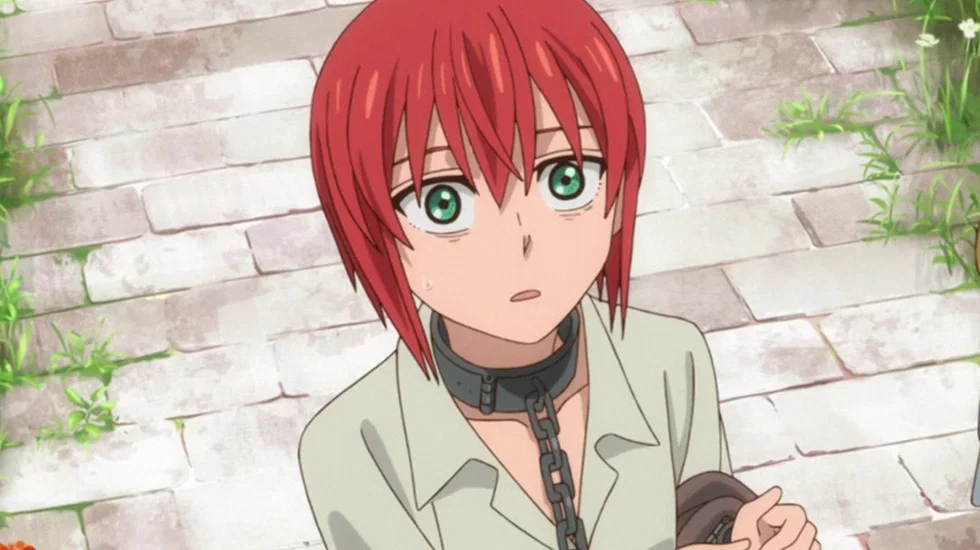 The Ancient Magus' Bride