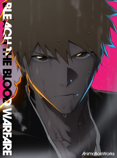 Couverture de BLEACH Animation Works
